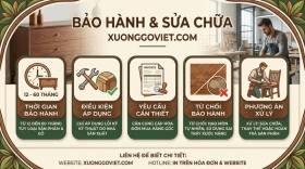 Bảo Hành & Sửa Chữa